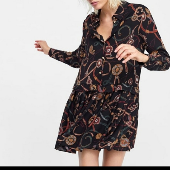 Zara Basic Chain Buckle Print Dress - Picture 3 of 13